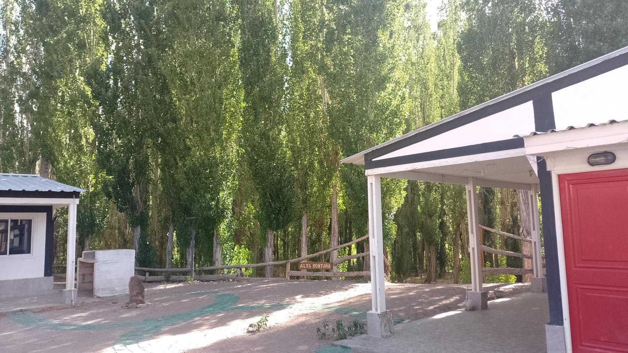 Cabañas de los Andes Uspallata Exterior foto